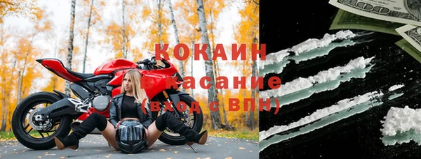 эйфоретик Алзамай
