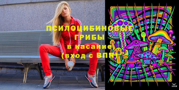 apvp Алексин