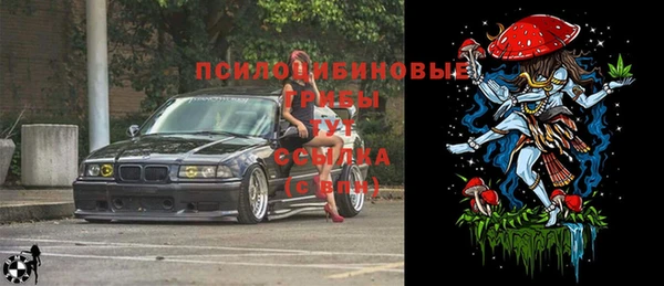 СК Алексеевка