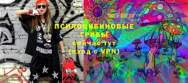 эйфоретик Алзамай