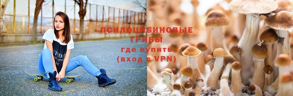 СК Алексеевка