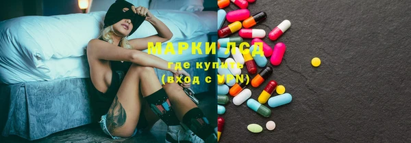 гашик Няндома