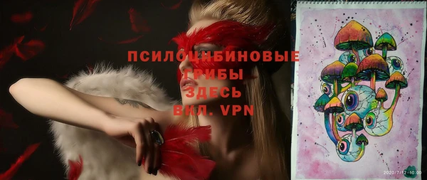 apvp Алексин