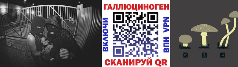 купить наркоту  Александровск  Галлюциногенные грибы прущие грибы 